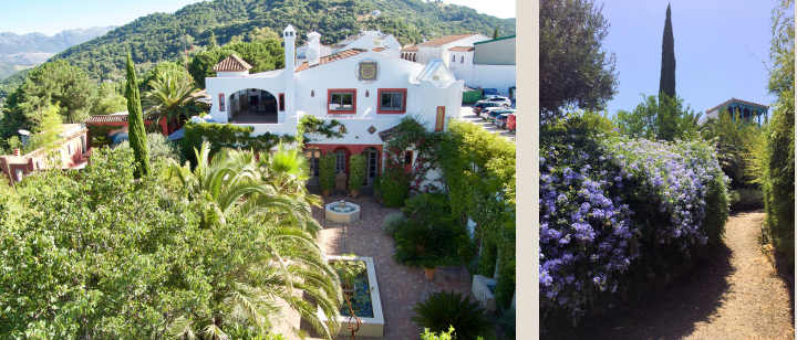 The verdant garden at Casa Mosaica